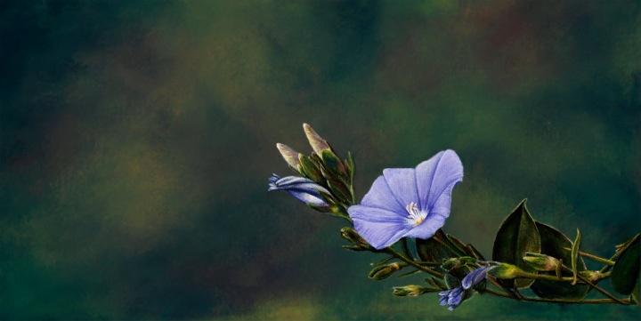 Morning Glory painted by Wendy Palmer