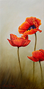 Mom's Poppies painted by Wendy Palmer<br>
				Original on Board - 12 inch x 6 inch<br>
                ORIGINAL SOLD !<br>
                Giclée on Canvas Reproduction Currently Unavailable