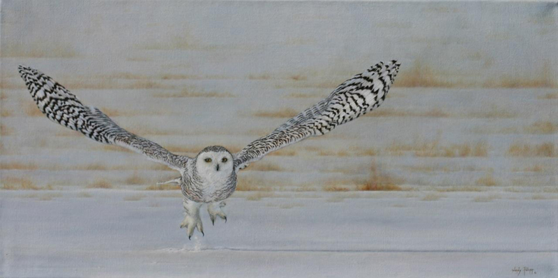 Snowy Owl painted by Wendy Palmer